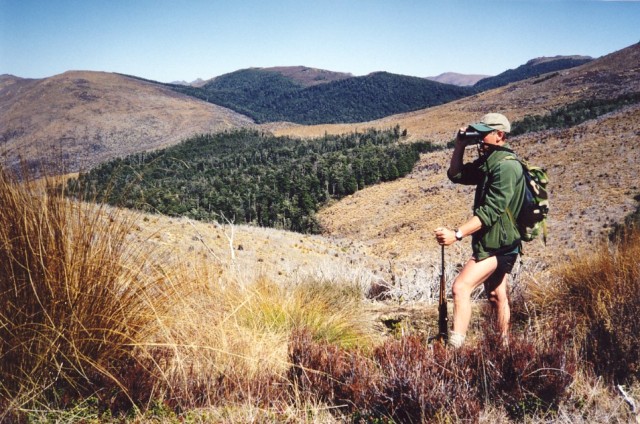 Glassing for sika Glassing