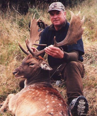 Fallow buck