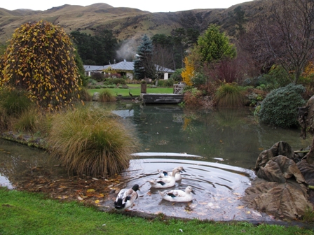 Rata Peaks Accommodation Rata Peaks