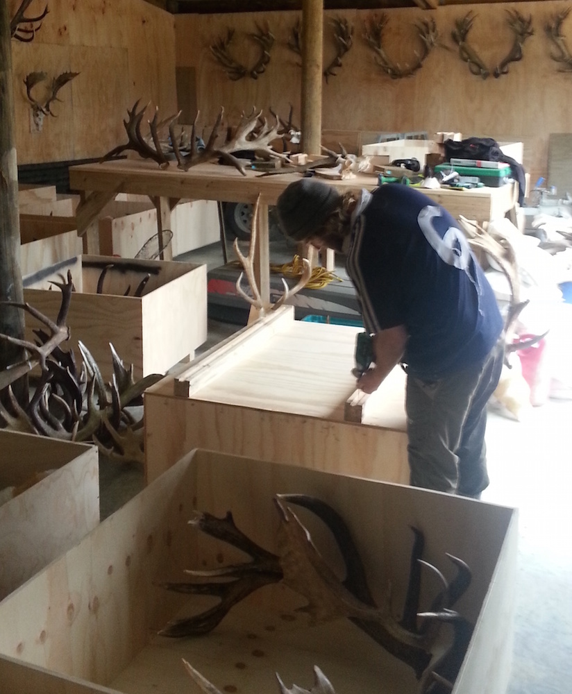 Crating trophies 