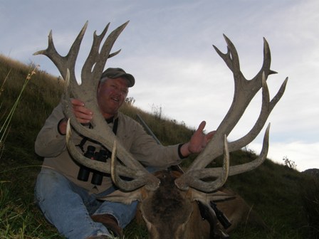 Red stag