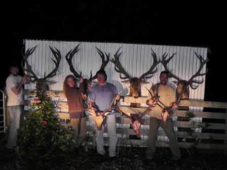 Group hunt