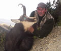 Chamois