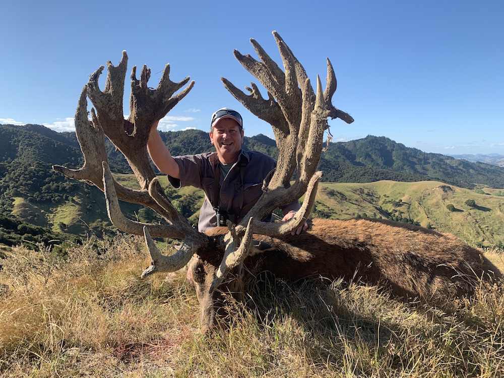 Red Stag Hunting New Zealand 