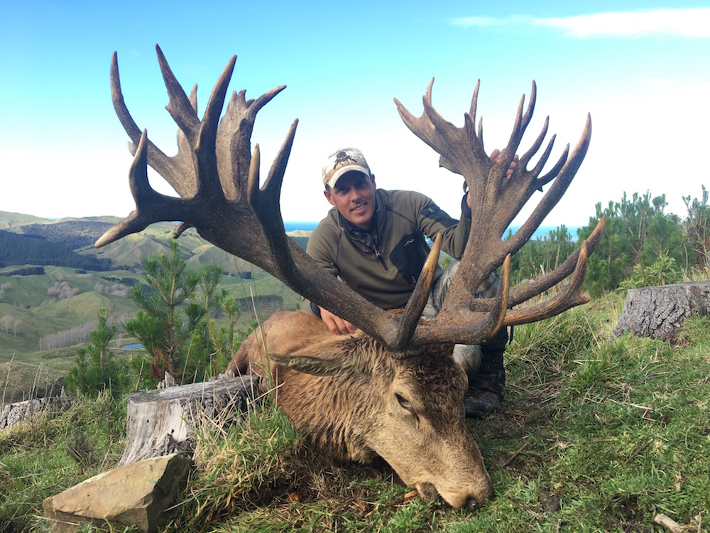 New Zealand Hunting for Red Stag 