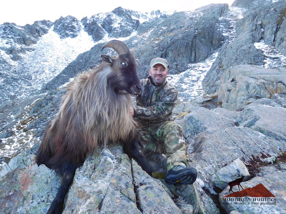 Tahr Hunting in New Zealand 