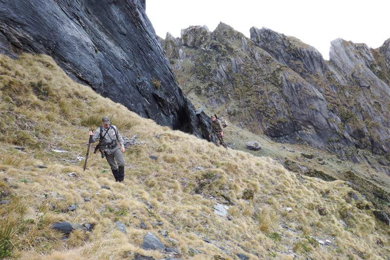 Tahr countrry