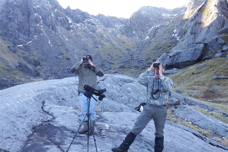 Glassing for Tahr