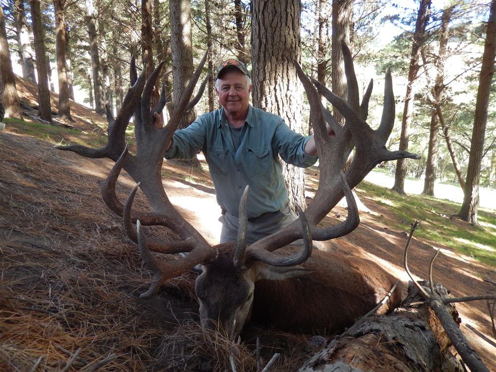 Gregs estate stag scoring 454 SCI