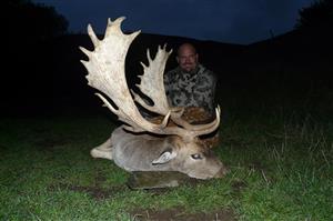 Fallow Buck Gold 225+ SCI